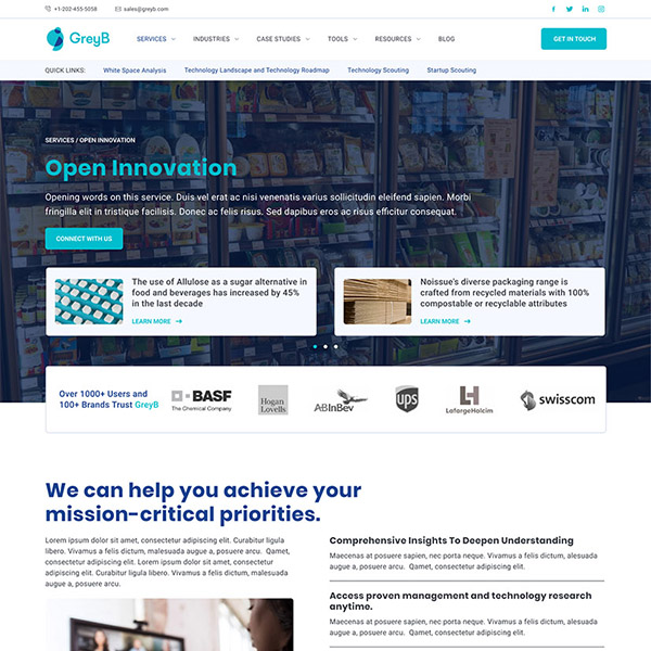 GreyB website design