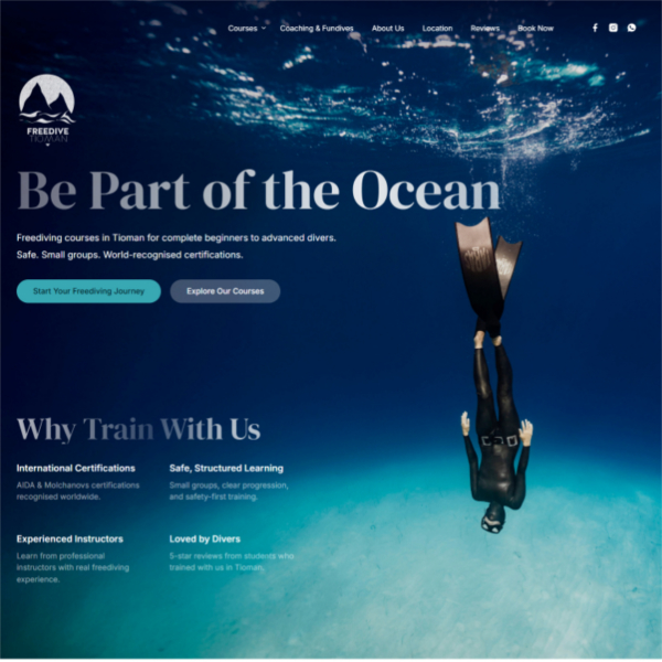 leisurecat website design
